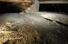 有松の家を調査しました!片面土塗りも発見... DSC_5344