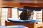 Park Side Living | リ...