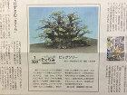 作品詳細産経新聞作品連載30.31.32... /n/n_img/n-70-01.jpg