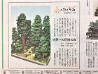 作品詳細産経新聞作品連載154.155.... /n/n_img/n-102-01.jpg
