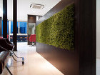 施工実績:Lagoon hair 様 |...