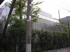 武蔵野市小学校