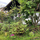 住まい手さんの、ふだんの暮らし | シン... https://sinkenstyle.co.jp/wp-content/uploads/2024/10/91457ad5ee40f366d10d66120fdbe7b5.jpg