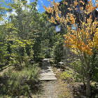 住まい手さんの、ふだんの暮らし | シン... https://sinkenstyle.co.jp/wp-content/uploads/2024/11/7ad6810abe4c5165924604fbeab2af53.jpg