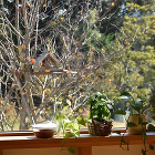 住まい手さんの、ふだんの暮らし | シン... https://sinkenstyle.co.jp/wp-content/uploads/2023/12/11714f3b8c848967e2c9eb90564cdeb2.jpg