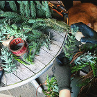 住まい手さんの、ふだんの暮らし | シン... https://sinkenstyle.co.jp/wp-content/uploads/2023/12/2ca0f060b9f1ea4f0f2040b20f7d72c6.jpg