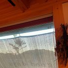 住まい手さんの、ふだんの暮らし | シン... https://sinkenstyle.co.jp/wp-content/uploads/2024/08/cba1ac30126c32952680f935a43fd979.jpg