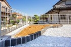 ピンコロ石の花壇縁 ピンコロ石の花壇縁