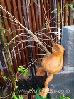 和風の坪庭 水のあるデザイン 遠賀町 |...