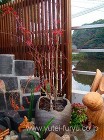和風の坪庭 水のあるデザイン 遠賀町 |...