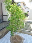 タイルテラスとリレーリア | 福岡・北九...