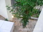 タイルテラスと芝が美しい庭 | 福岡・北...