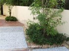 和風の舗装とスタンプコンクリートのテラス... 植栽スペース