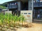 ガラスブロックが爽やかな塗壁とエバーアー...