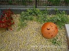 モザイクタイルがオシャレな立水栓のある庭...