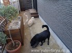 オリジナル木製プランターと庭舗装工事 |...