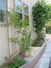 はるみの庭苑　造園　施工例 image2/okg05.jpg