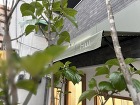 施工事例 - 大阪での店舗内装工事・店舗... https://www.e-senshin.co.jp/wp-content/uploads/2023/08/HAIRSALON-Hui.-PROJECT-38.jpg