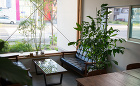 Cafe Kikuyoshi of ブレ...