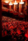 Social Contribution ... Performance at the P...