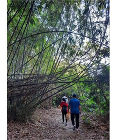 Social Contribution ... Hiking while picking...