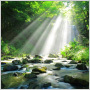 Sustainability-Focus...