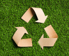 Environment | Sustai...