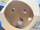 Social Contribution ... Image: Object expres...