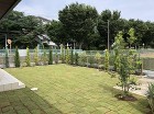 川越市　広いお庭に省管理型高麗芝TM9とコニファーを植栽しました