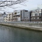 桜並木を望む家｜眺望｜犬と暮らす家｜シン... 外観３