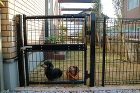 ワンちゃんも喜ぶ!エクステリア完成!防府... IMG_3901