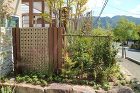 IMG_1214_800 IMG_1214_800