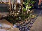 ライトアップされた門廻りが幻想的に美しく... 13229725633686