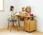 cobrina desk series ...