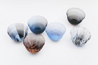 空気の器 (LAND) TORAFU A...