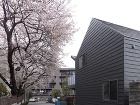 中丸の住宅 TORAFU ARCHITE...