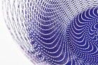 空気の器 (5050 DOTS, INT...