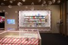 TMEF_akihiro-iwanaga...