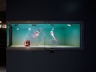 エルメス 2016S/S ウィンドウディ...