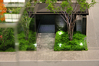 建築模型：植栽模型 - アートモデル株式... 建築模型　植栽055