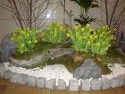 観葉植物レンタル施工事例 | やまと園芸 観葉植物施工例　ガーデニング