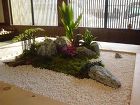 観葉植物レンタル施工事例 | やまと園芸 観葉植物施工例　寄せ植え・アレンジメント