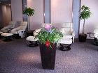 観葉植物レンタル施工事例 | やまと園芸 https://www.green-yamato.jp/wphp/wp-content/uploads/2024/12/sekou23-1.jpg