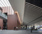 Tokoha University Sh...