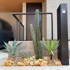 Instagram https://niwafumi.com/conts/wp-content/uploads/2025/08/55b4b4d4d52c80c5db696de5b1c5aa00-400x400.jpg