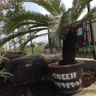 Twitter https://niwafumi.com/conts/wp-content/uploads/2022/12/2-004-1-400x400.jpg