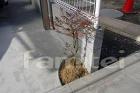 防犯砂利 バラス砕石 境界フェンスの外... 植栽 ナンテン