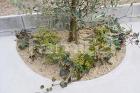 犬走り 防犯砂利 バラス砕石の外構施工例... 植栽スペース 下草