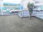 防犯砂利 バラス砕石敷きの外構施工例(現... シンボルツリー 植栽 常緑シマトネリコ...