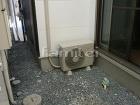 YKKヴェクター(ベクター)テラス屋根1... 施工前